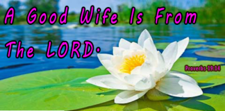 A Good Wife Is From The Lord