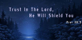 Trust The Lord . To Shield Yoyu