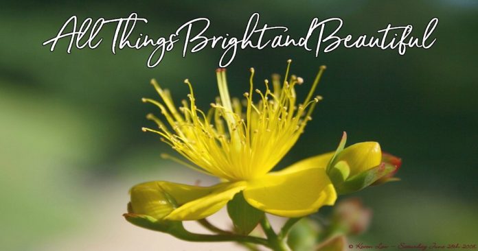 All Things Bright And Beautiful Hymn