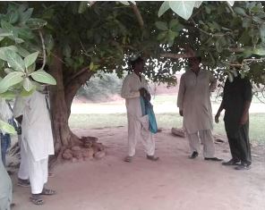 The_tree_where_his_body_was_found_in_Pakistan
