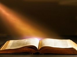 what are the 5 shortest books in the bible