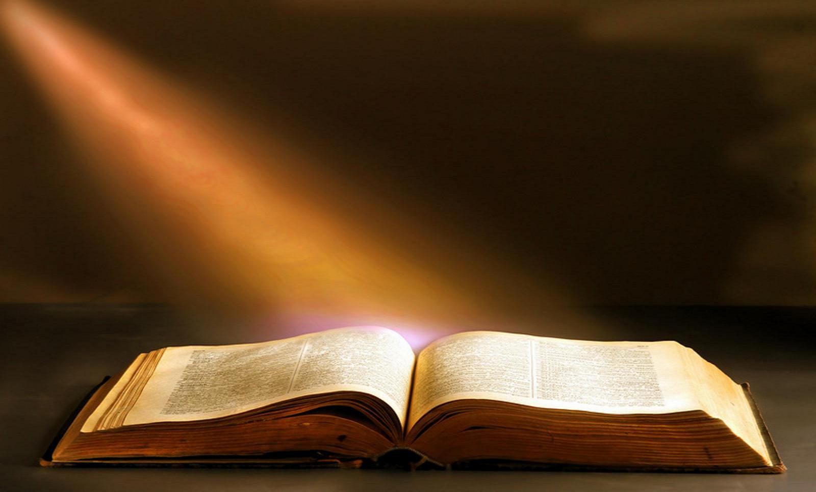 Lời Chúa lớn lên với người đọc