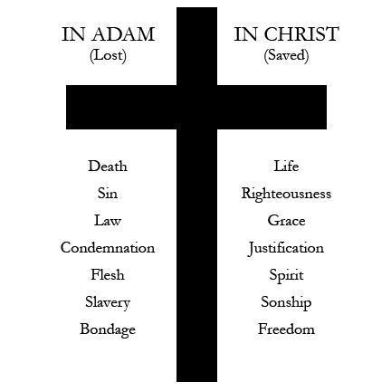 From Adam To Jesus Chart