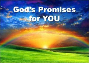 List Of 3000 Promises In The Bible - Believers Portal