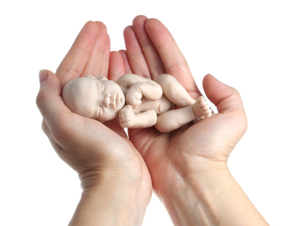 Unborn-baby-abortion