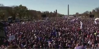 Thousands of Supporters March for Israel in Washington DC