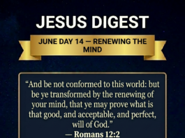 June Day 14 devotional - Renewing the Mind - Romans 12:2